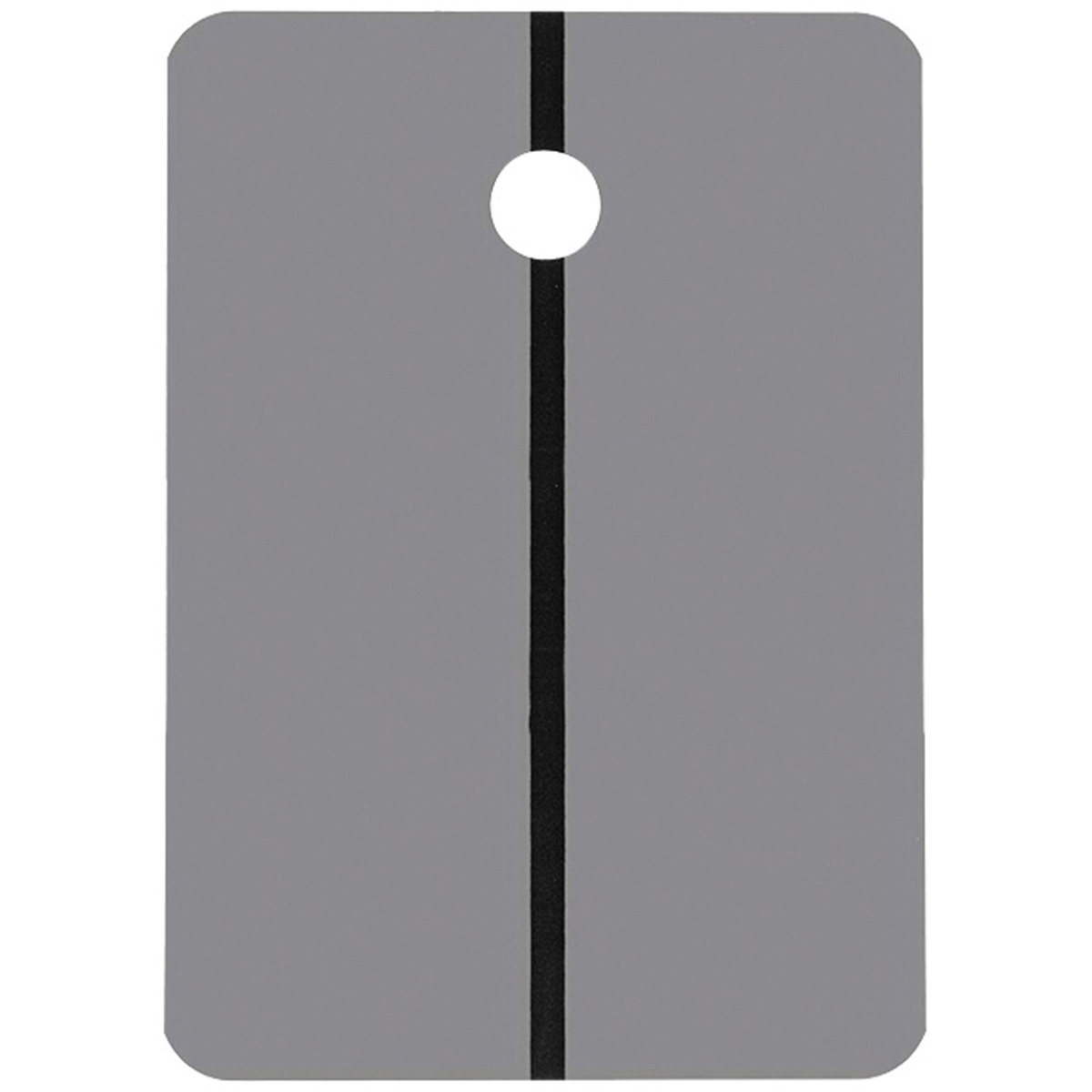 MS-LG ΚΑΡΤΕΣ ΤΑΙΡΙΑΓΜΑΤΟΣ ΧΡΩΜΑΤΟΣ (ΠΑΝΕΛ), 10.5X15CM, ΜΕΤΑΛΛΙΚΕΣ, ΑΝΟΙΧΤΟ ΓΚΡΙ (RAL 7040)